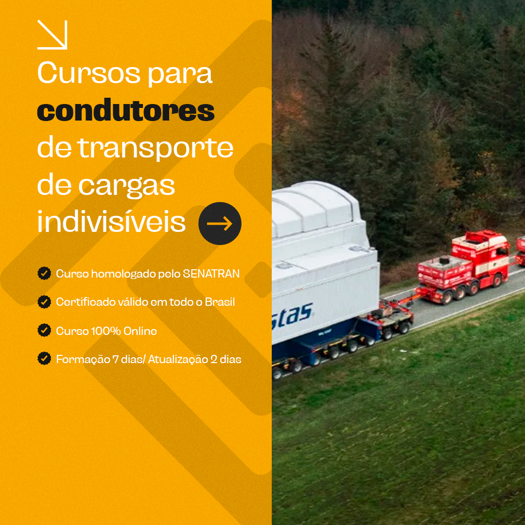 CARGA INDIVISIVEL LM