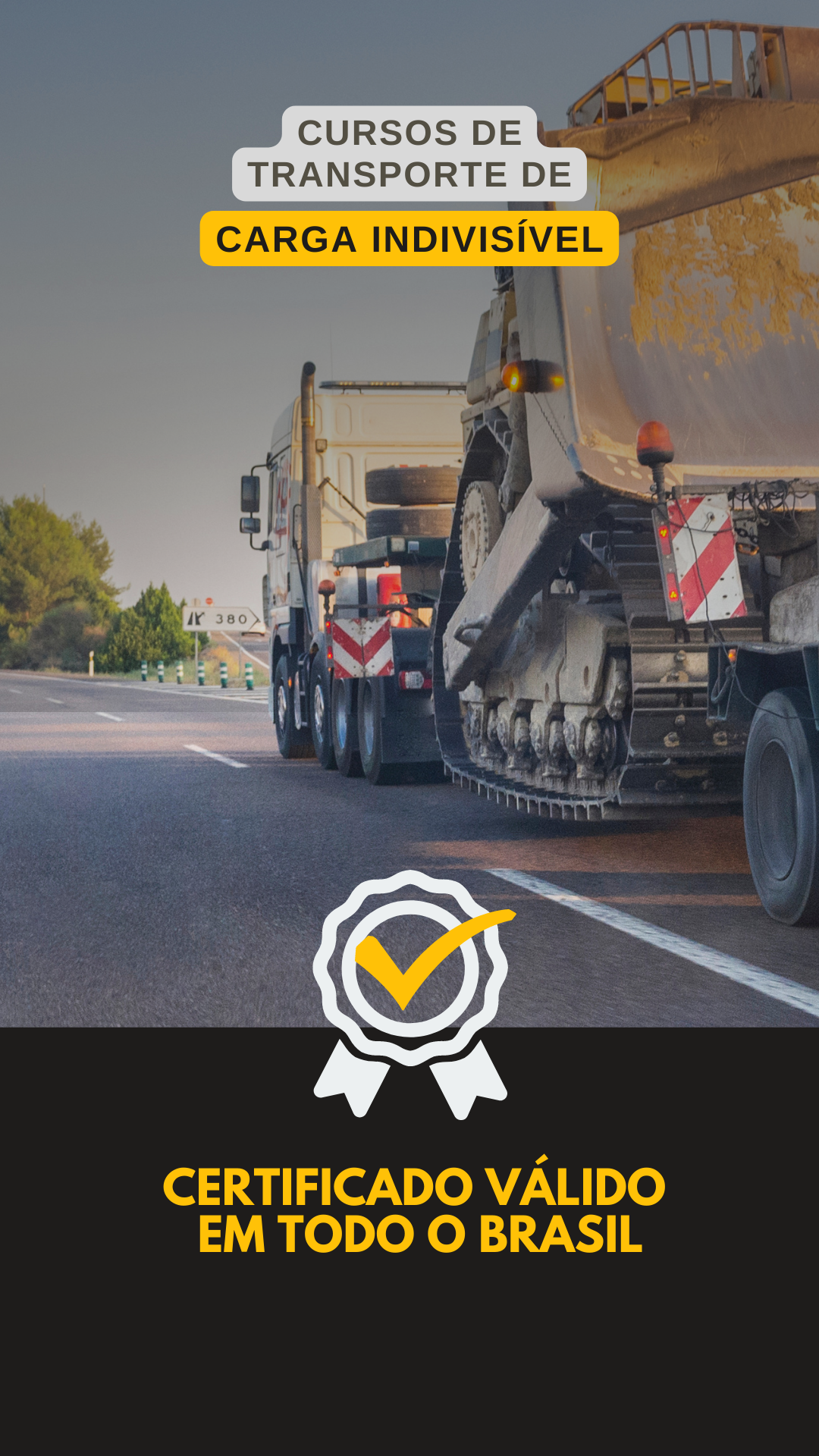 _LM CURSOS - CARGA INDIVISIVEL - (1080 × 1920 px)